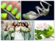 Zielone buty ślubne weselne casani
