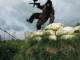 Paintball