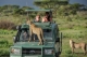 Niezapomniane safari w Kenii