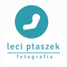 Leci Ptaszek Fotografia